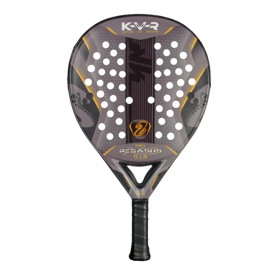 Raquete Akkeron Black Pegasus PRO